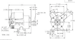 K016 Marathon 3/4 Hp (1 Speed) 115/208-230V 1800 RPM ODP 56 Frame Cap Start/Run Pressure Washer Motor -MotorHub Shop 016 line 77862.1635263647