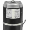 C1087 Marathon 1/3 Hp 2-Compartment Jet Pump Motor 3600 RPM 115/230V ODP 56J Frame (no Base) 2 C1087 Marathon 1/3 Hp 2-Compartment Jet Pump Motor 3600 RPM 115/230V ODP 56J Frame (no Base) -MotorHub Shop 1087 front 68336.1604685894