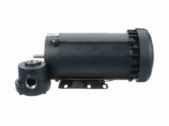 119441.00 Leeson 1 1/2 Hp 1800 RPM 230/460V 56C Frame TEFC Explosion-Proof (Rigid Base) 3-Phase Motor 7 119441.00 Leeson 1 1/2 Hp 1800 RPM 230/460V 56C Frame TEFC Explosion-Proof (Rigid Base) 3-Phase Motor -MotorHub Shop 41 side 52430.1642608077