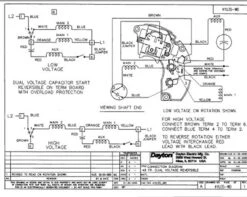 Model 4YU35 Dayton 3/4 Hp Belt Drive Blower Cap Start Motor 1725 RPM 115/208-230V Dayton 4YU35 9 Model 4YU35 Dayton 3/4 Hp Belt Drive Blower Cap Start Motor 1725 RPM 115/208-230V Dayton 4YU35 -MotorHub Shop 4YU35WIRE 22963.1463165941