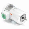 119461.00 Leeson 2 Hp 3600 RPM 208-230/460V 56J Frame (Rigid Base) TEFC 3-Phase Wash-Down Jet Pump Motor -MotorHub Shop 61 front 51278.1643041277
