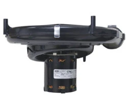 Fasco A173 Intercity (Heil / Tempstar) Furnace Flue Exhaust Venter Blower 115V 9 Fasco A173 Intercity (Heil / Tempstar) Furnace Flue Exhaust Venter Blower 115V -MotorHub Shop A173 79166.1544038875