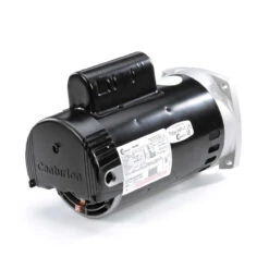 B2980 Century 3/4 Hp 2-Speed 56Y Frame 230V Square Flange Pool Motor Century # B2980 -MotorHub Shop B2980B 85041.1557857356